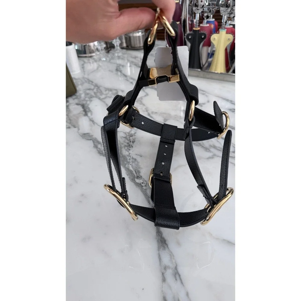 Gucci pet harness
